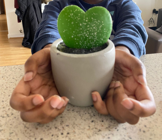 A picture of my hands wrapped around a plant pot with a green spotted heart inside of it