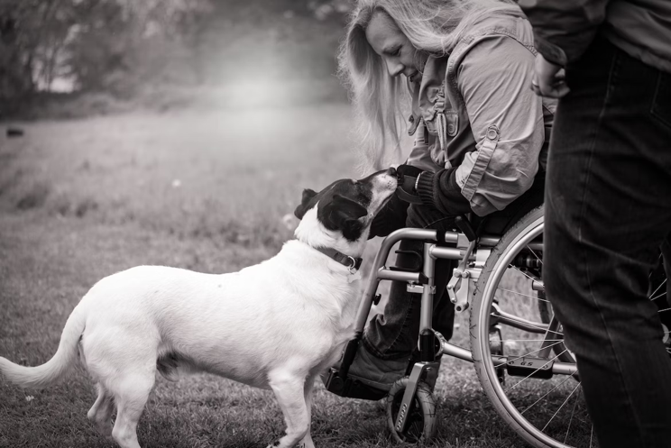 A woman in a wheelchair leaning down to stroke a dog. The image is in black and white.